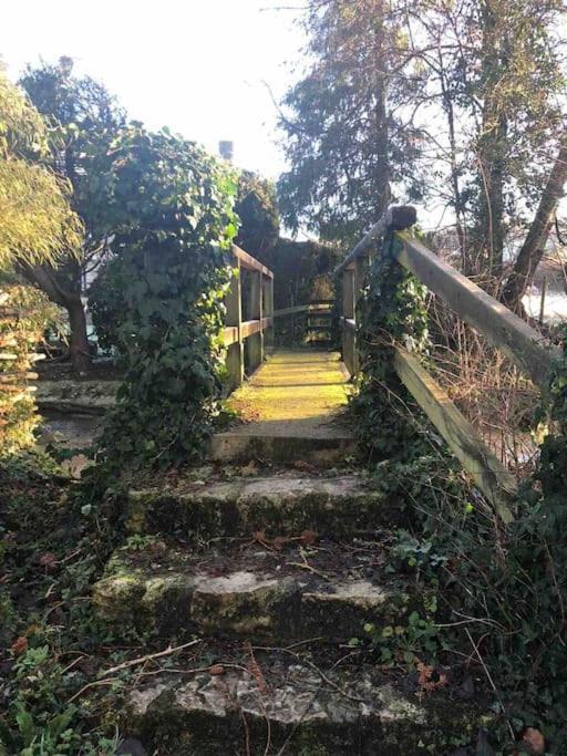 Eco-Friendly Dorset Cottage With Spa Set In Heart Of Countryside Sydling St Nicholas 외부 사진