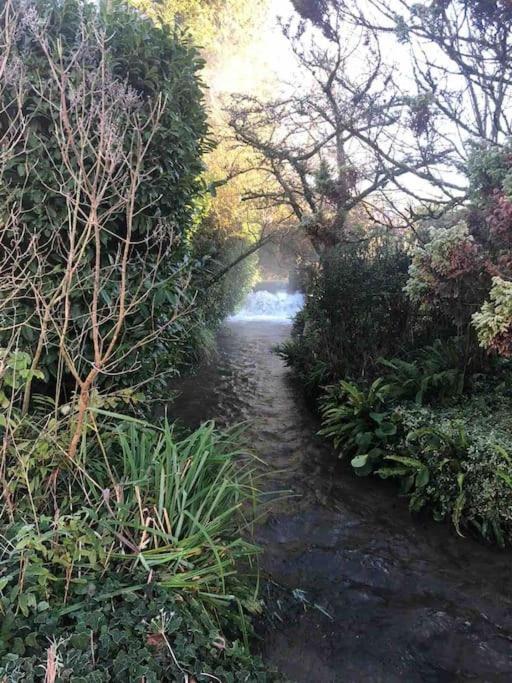 Eco-Friendly Dorset Cottage With Spa Set In Heart Of Countryside Sydling St Nicholas 외부 사진