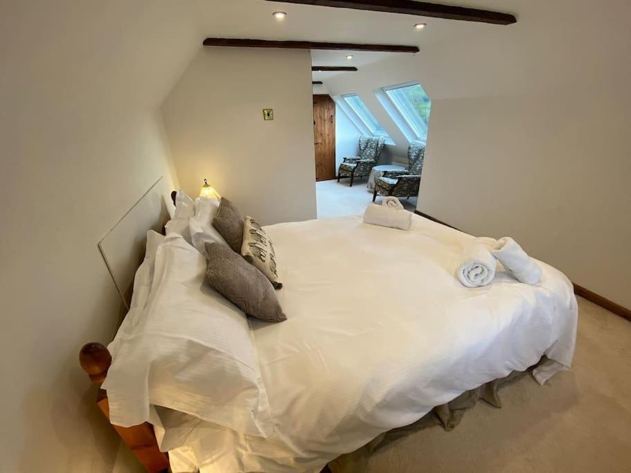 Eco-Friendly Dorset Cottage With Spa Set In Heart Of Countryside Sydling St Nicholas 외부 사진
